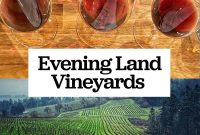 Evening Land Vineyards: Oregon Pinot Noir Tasting & Tours