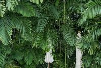 Charming Oahu Travel Guide: Top Sights, Beaches & Tips