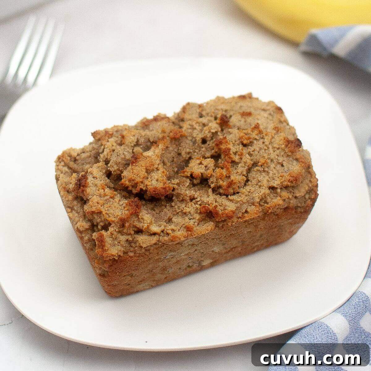 featured 33233