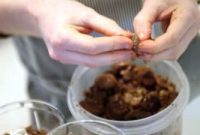 How to Avoid Common Mistakes When Cooking Fava Beans