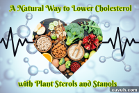 Lower Your Cholesterol Naturally with Plant Sterols and Stanols