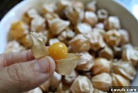 Ground Cherries (Cape Gooseberries): Growing, Care and Harvest
