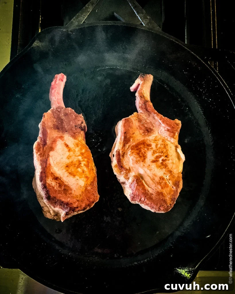Creamy Pork Chops with Garlic Herb Sauce—Weeknight Dinner Recipe 4 cast iron skillet with seared pork