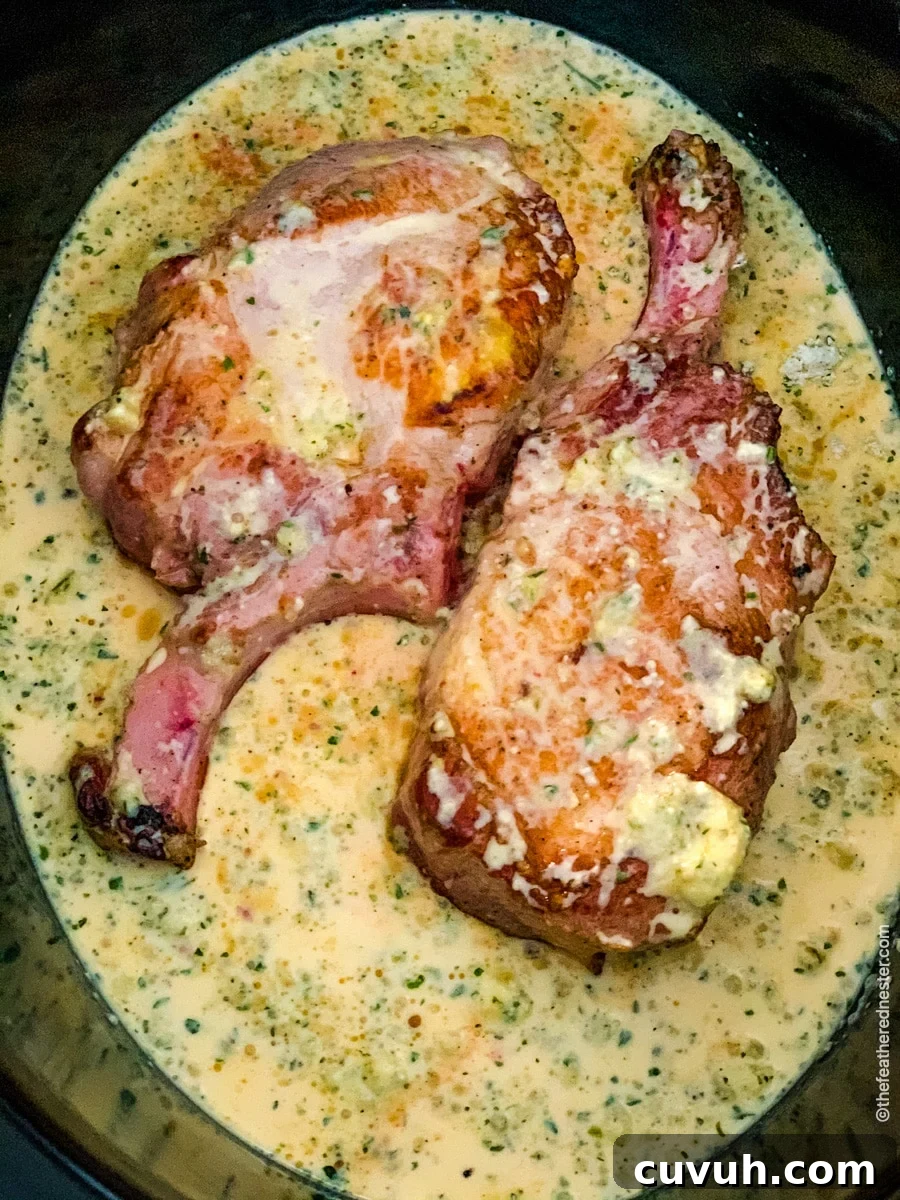 Creamy Pork Chops with Garlic Herb Sauce—Weeknight Dinner Recipe 5 pork chops in crock pot slow cooker