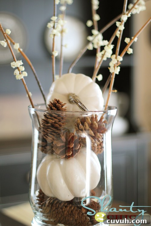White Pumpkins and Pine Cones