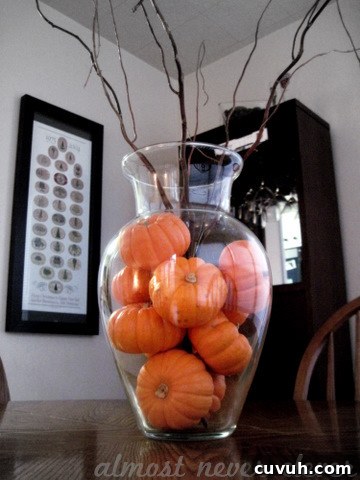 Mini Pumpkins in a Vase