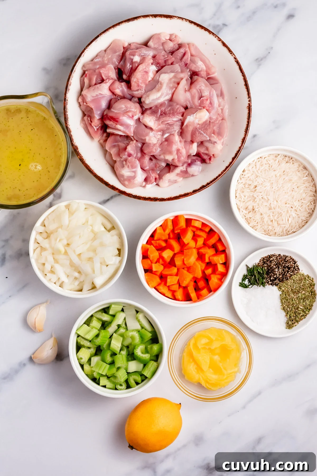 instant-pot-chicken-rice-soup-ingredients