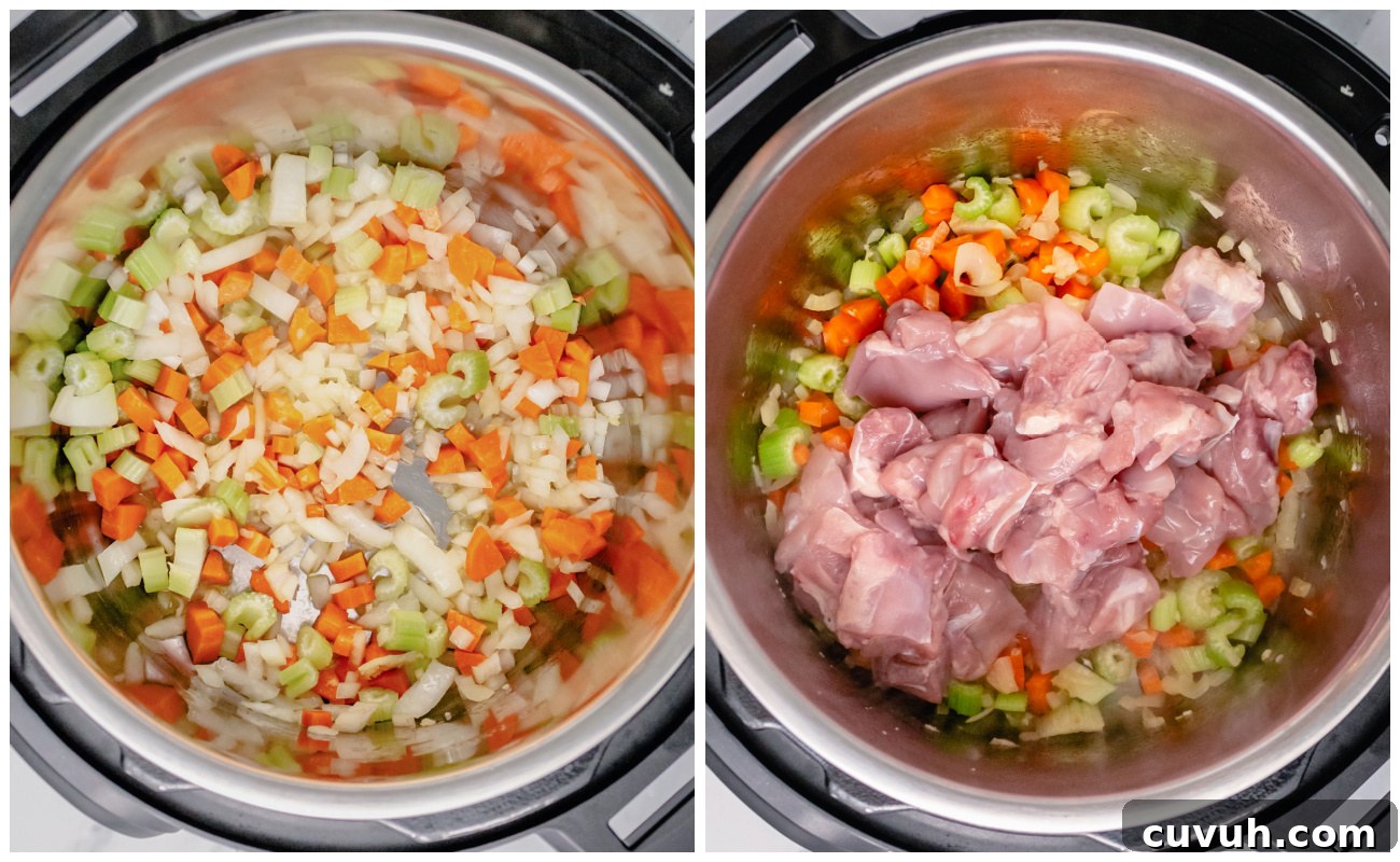instant-pot-chicken-rice-soup-process
