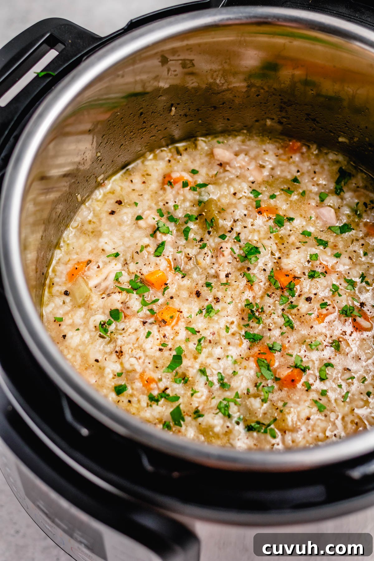 Instant pot chicken and rice soup served