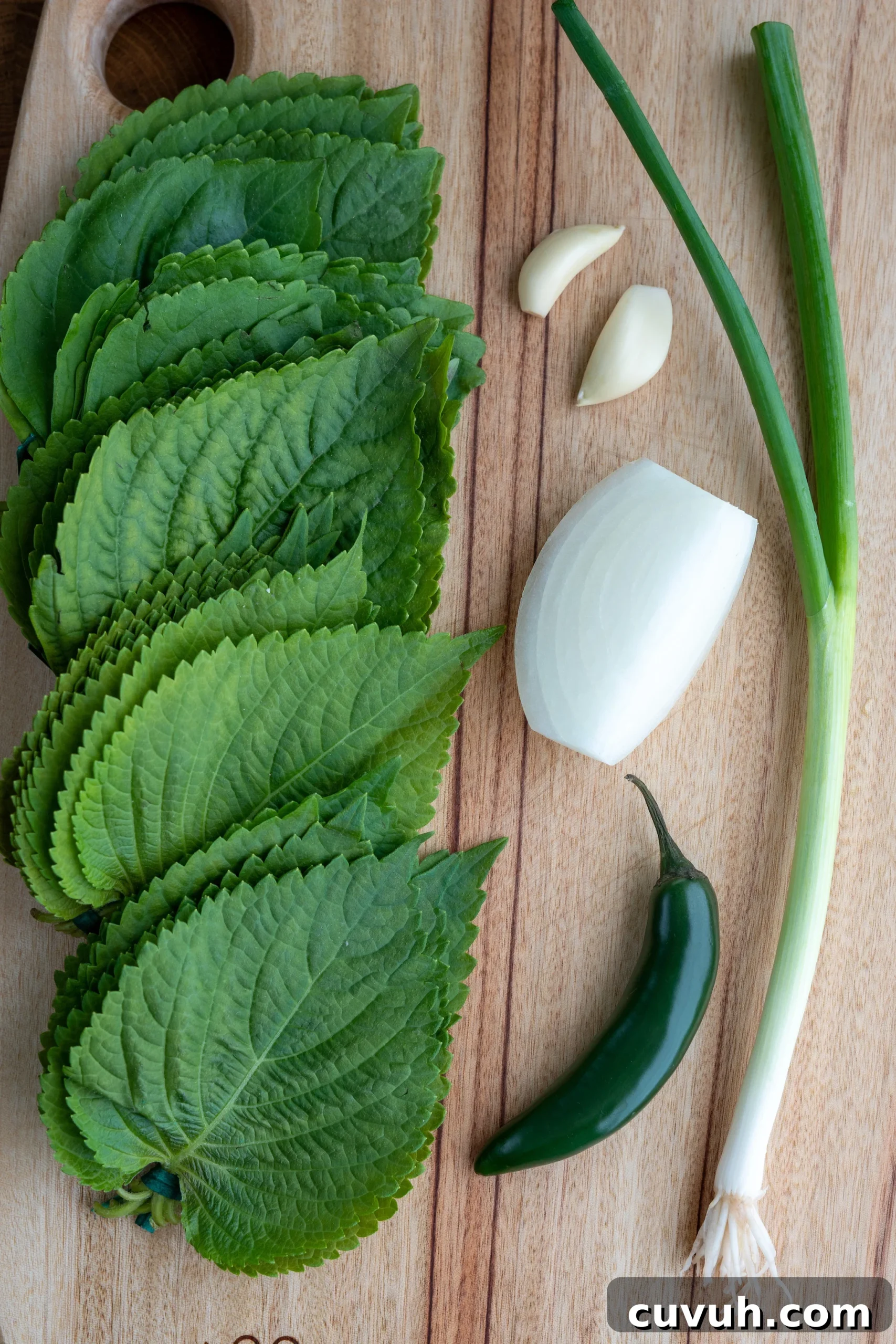 Perilla Leaf Kimchi Recipe: How to Make Korean Kkaennip Kimchi 2 img 10598 1 scaled