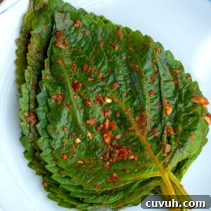 Perilla Leaf Kimchi Recipe: How to Make Korean Kkaennip Kimchi 6 img 10598 5