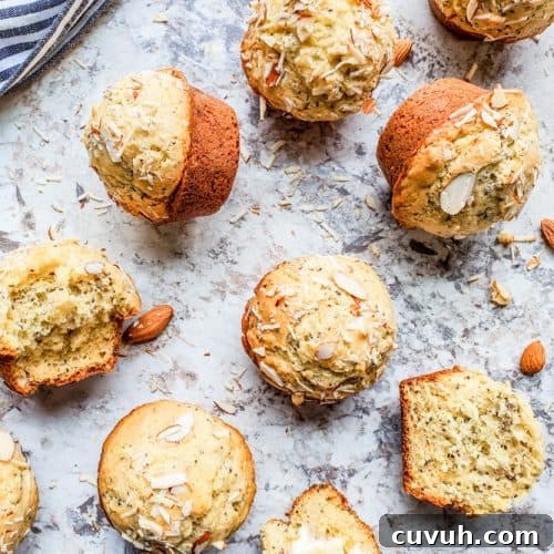 Almond poppy seed muffins scattered on counter.