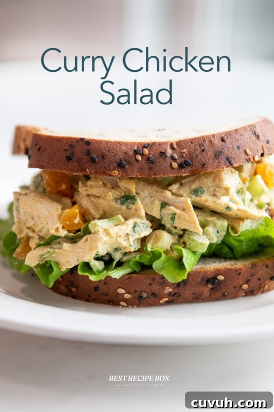curry chicken salad sandwich 