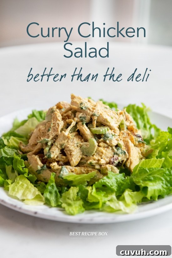 plate of curry chicken salad with lettuce