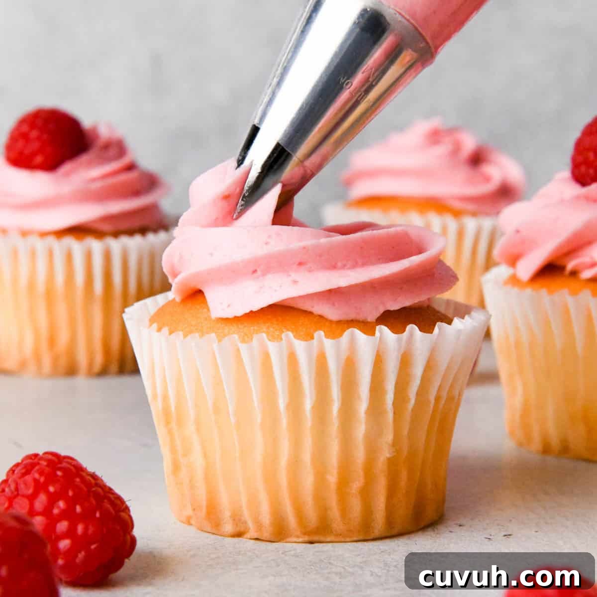 raspberry frosting being piped onto a vanilla cupcake, with 3 other frosted cupcakes and some raspberries in the background