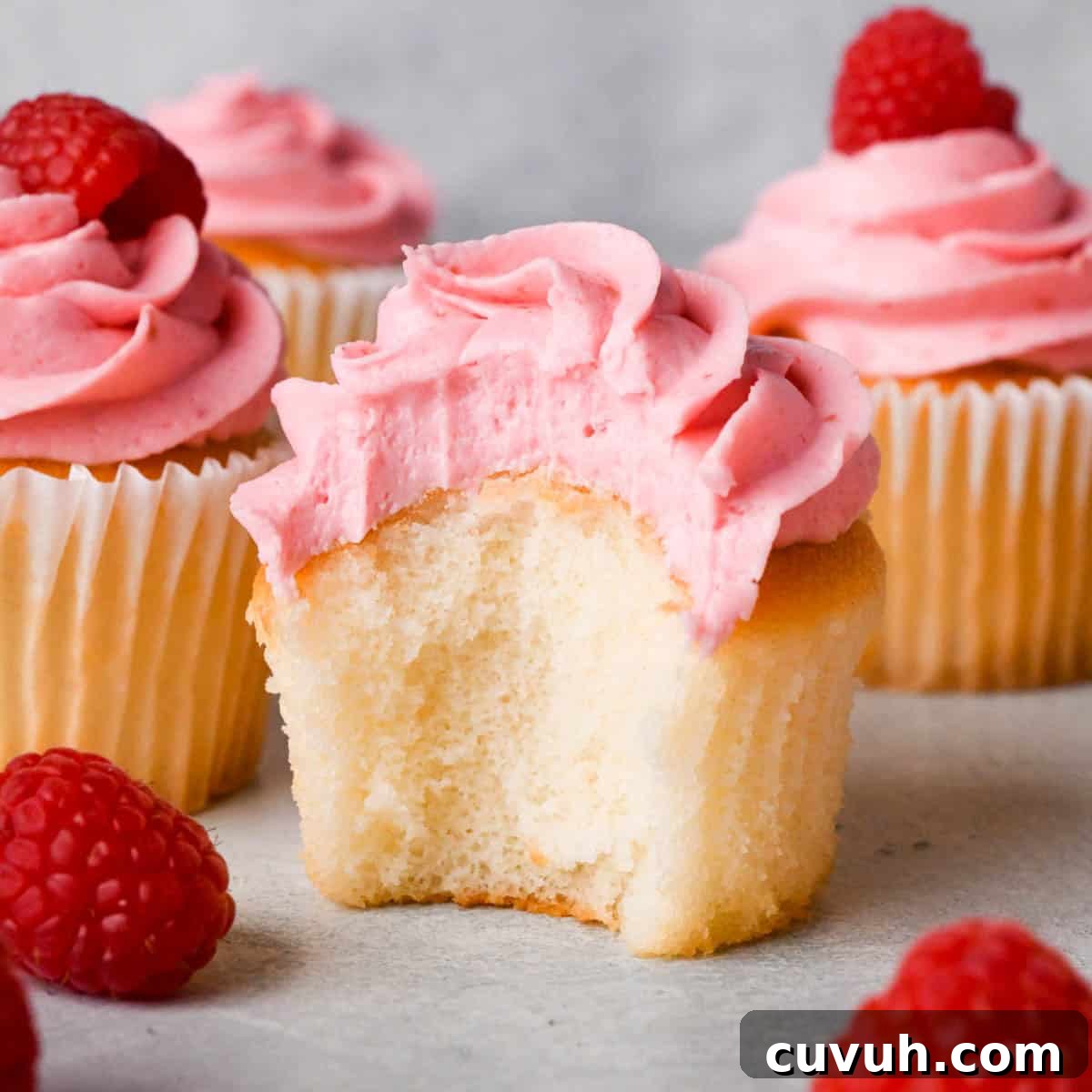 raspberry frosting on top of a vanilla cupcake with a bite taken out of it so the texture of the frosting is really visible, surrounded by more cupcakes topped with raspberry buttercream frosting