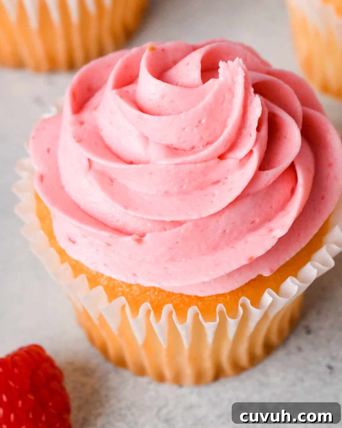 overhead view of raspberry frosting on top of a vanilla cupcake in a wrapper with a fresh raspberry on top