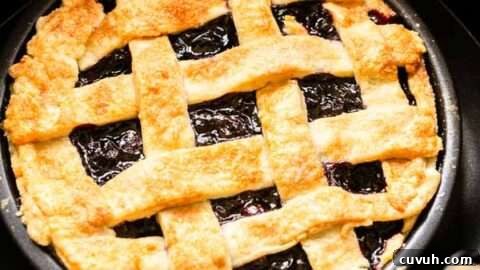 Blueberry Pie
