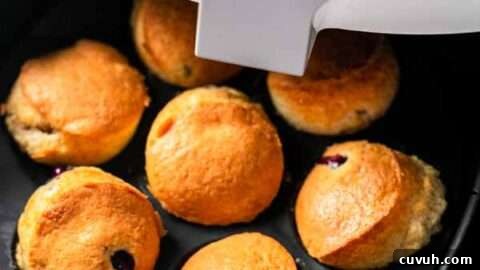 Blueberry Muffins