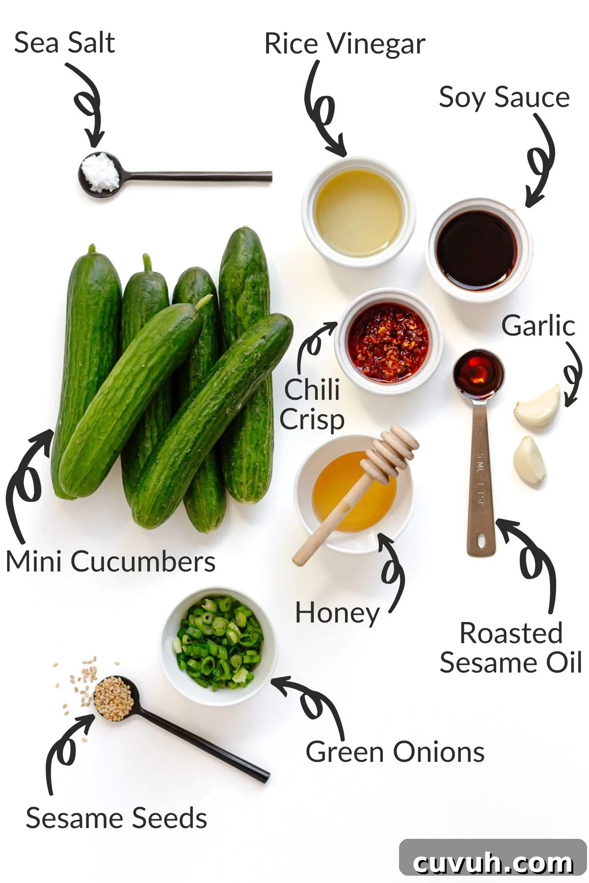 Labelled photo of ingredients needed to make spicy chili crisp cucumber salad.