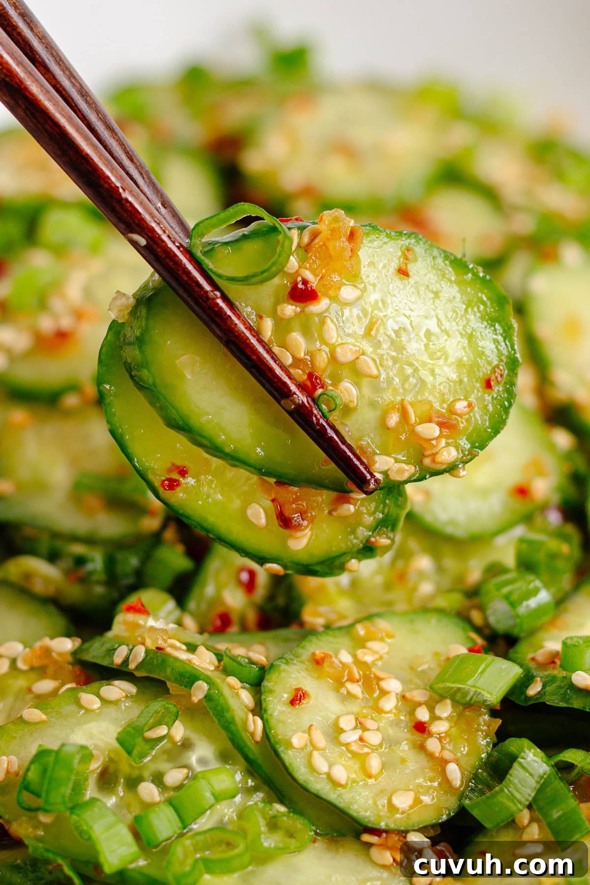 Chopsticks picking up some Asian cucumber salad with chili crisp.