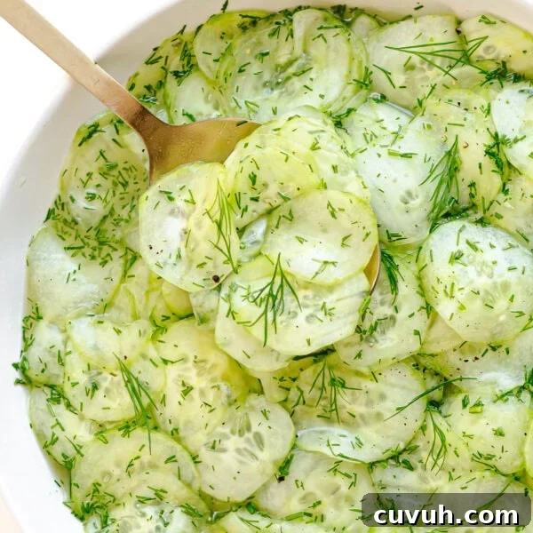 Serving spoon picking up some cucumber dill salad from bowl.