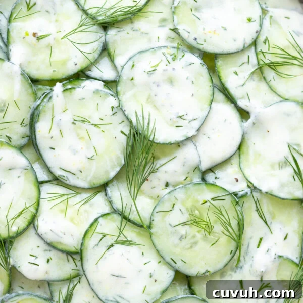 Close up of cucumber yogurt salad with dill.
