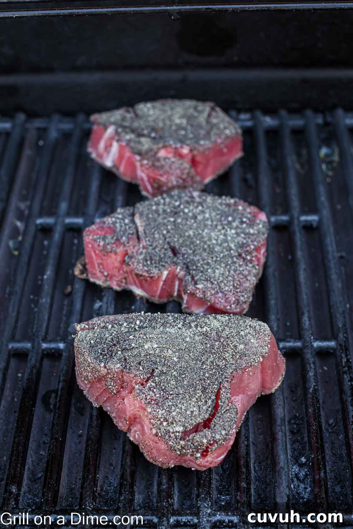 Perfectly Grilled Tuna Steaks: Marinade, Sear & Serving Tips 5 Seasoned Tuna Steaks on the grill