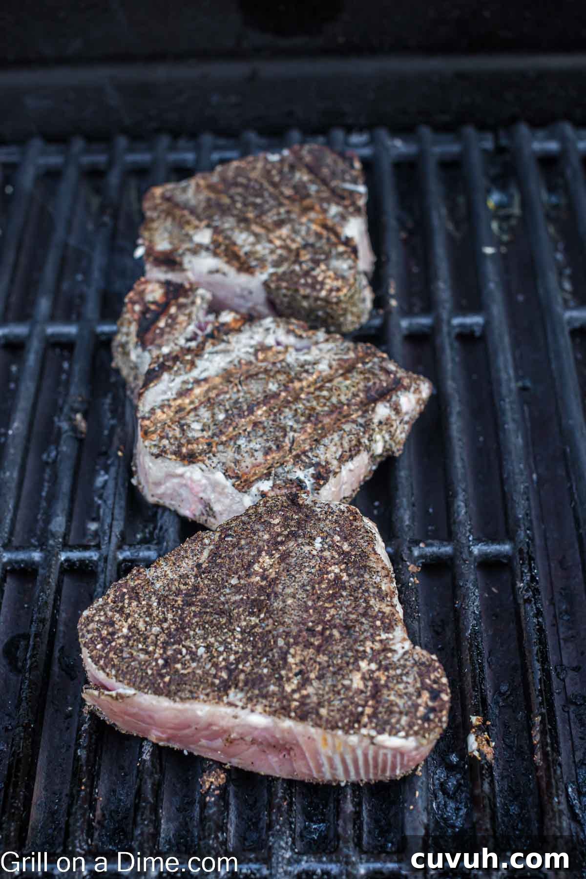Perfectly Grilled Tuna Steaks: Marinade, Sear & Serving Tips 6 Grilled Tuna Steaks on the grill