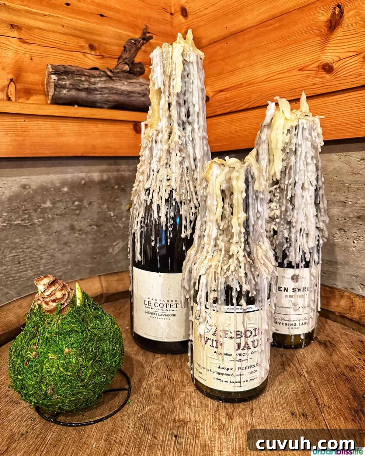 waxed candle bottles and amaryllis bulb at Evening Land Vineyards.