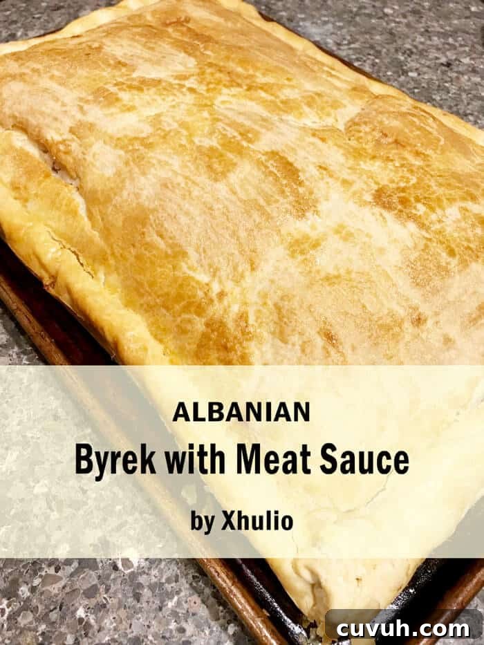 Meat byrek from Albania