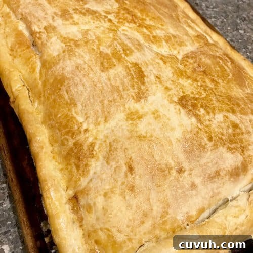 Meat byrek by Xhulio