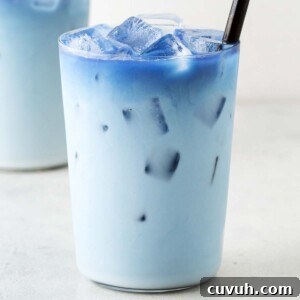 Iced Butterfly Pea Flower Tea Latte