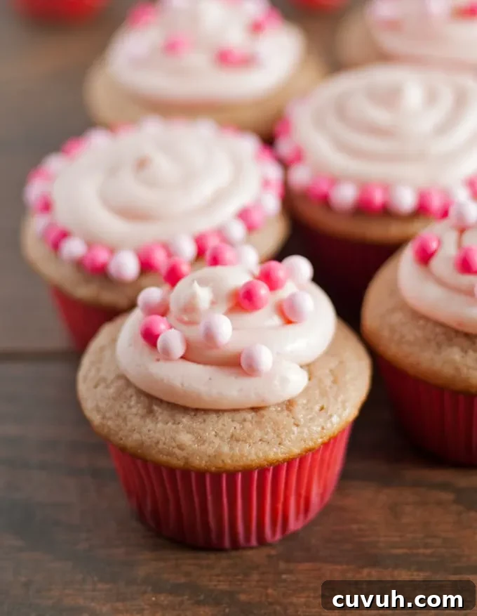 Double Berry Cupcakes - both the cupcakes and frosting are made with a mixture of raspberry and strawberry puree!