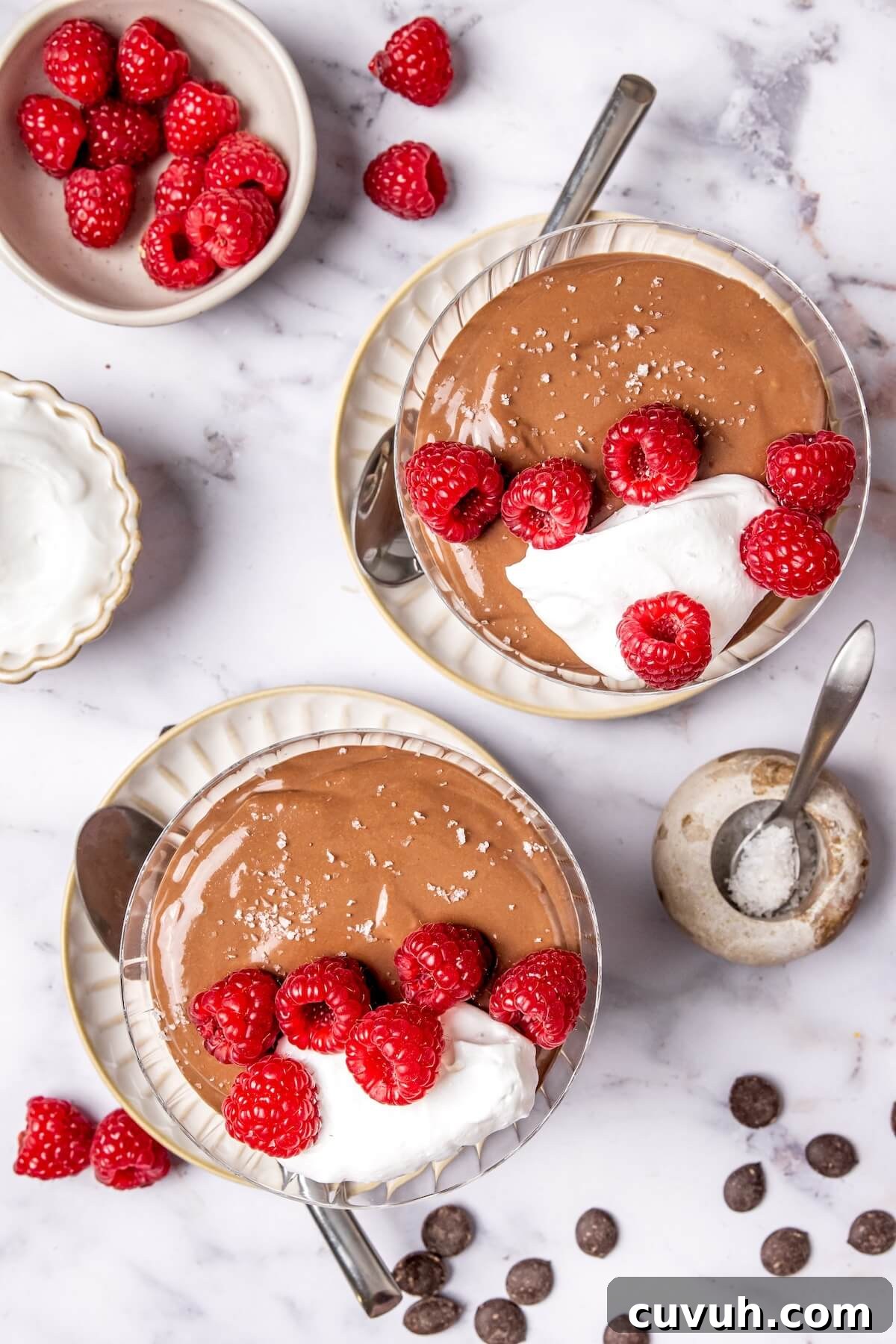 High-Protein Chocolate Pudding Recipe for Muscle Gain 5 High Protein Chocolate Pudding - Olivia Adriance