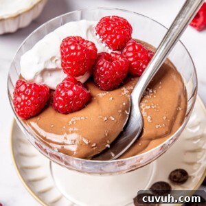 High-Protein Chocolate Pudding Recipe for Muscle Gain 9 High Protein Chocolate Pudding - Olivia Adriance