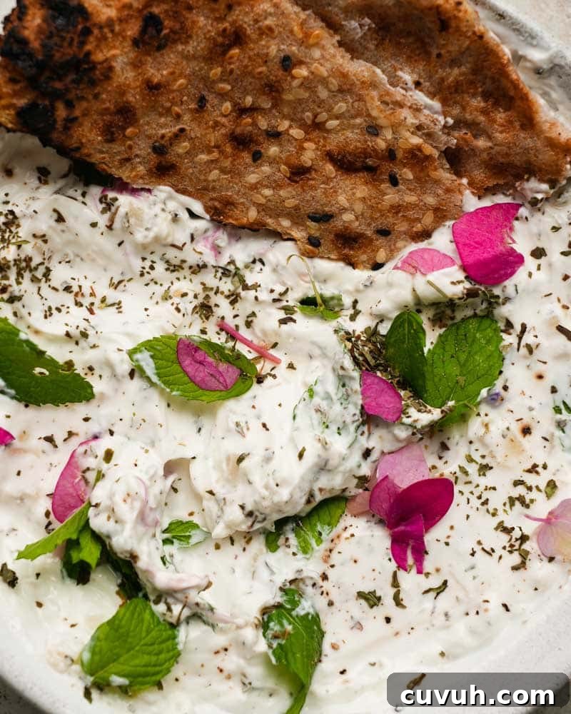 Persian Shallot Yogurt Dip
