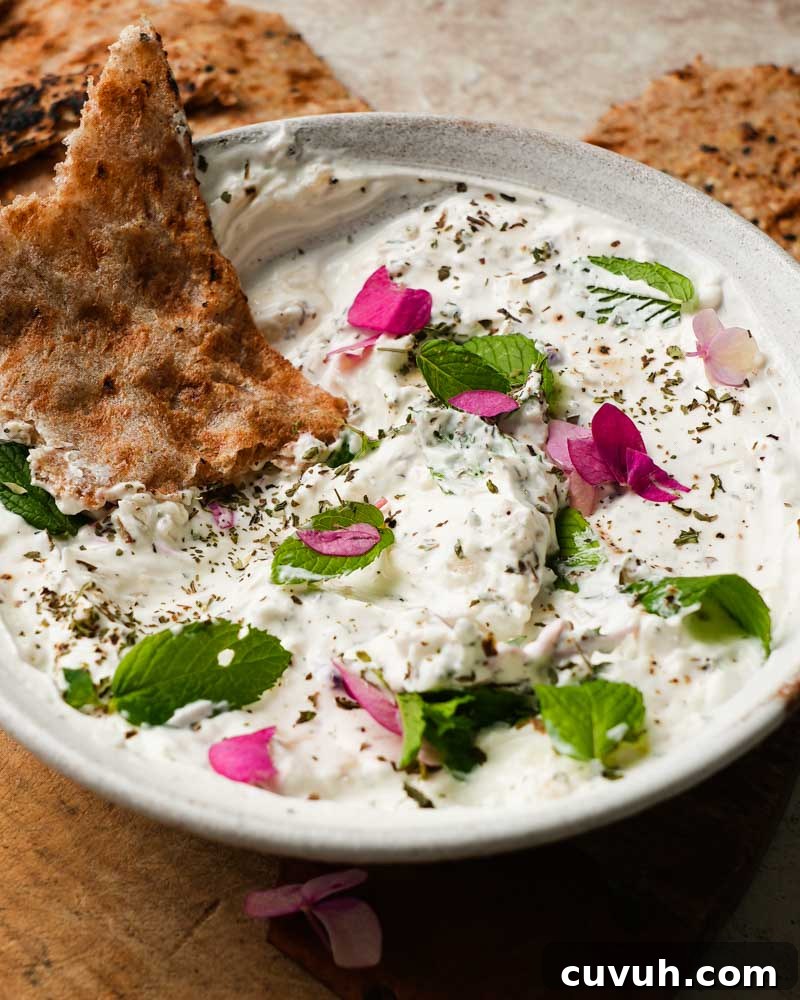 Persian Shallot Yogurt Dip