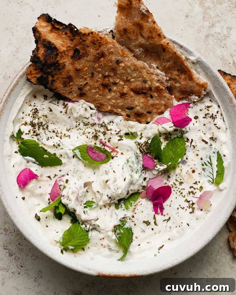 Persian Shallot Yogurt Dip