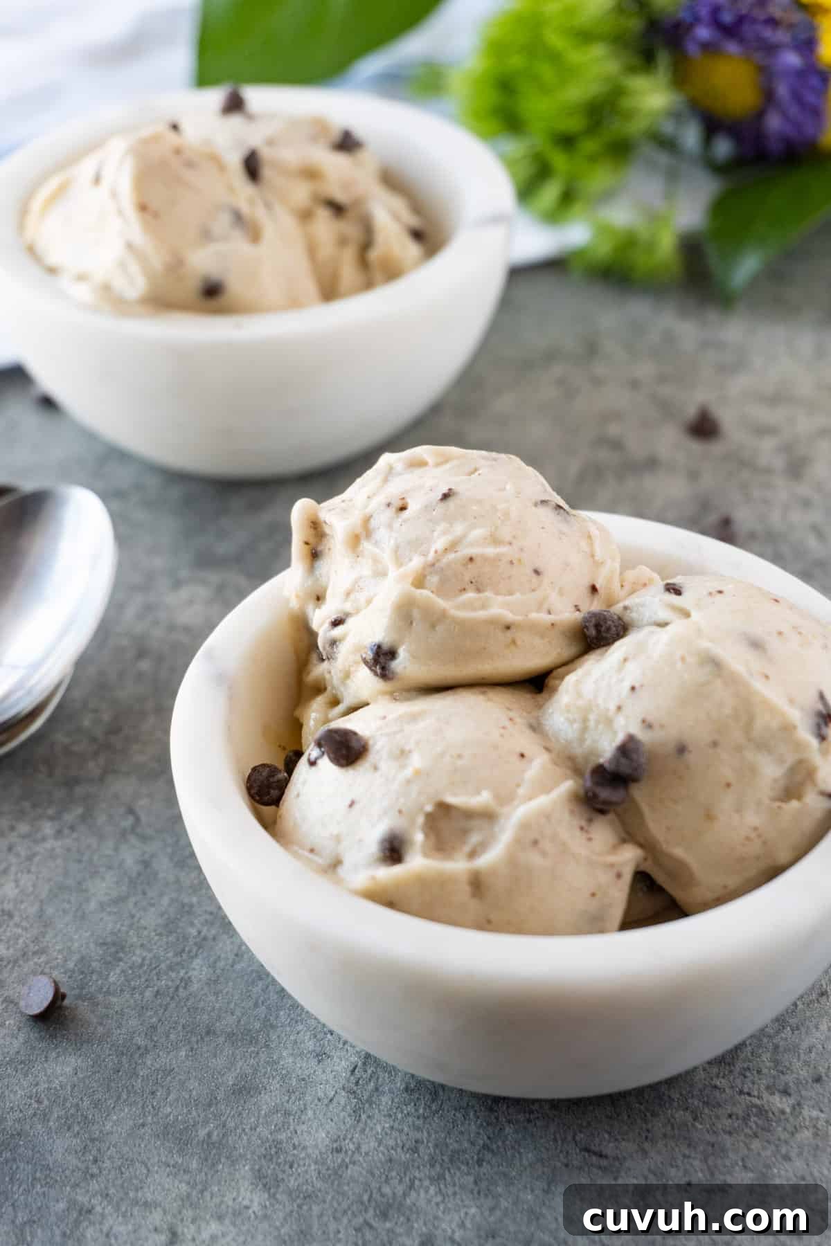 How to Freeze Bananas for Smoothies, Baking, and Snacks 12 ice cream made with bananas