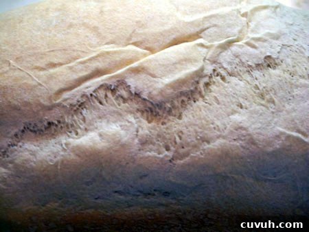 Bread Crust