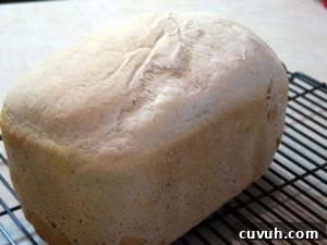 Italian Country Bread 