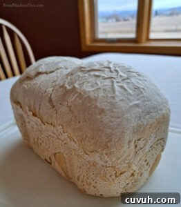 Italian Country Bread Mix