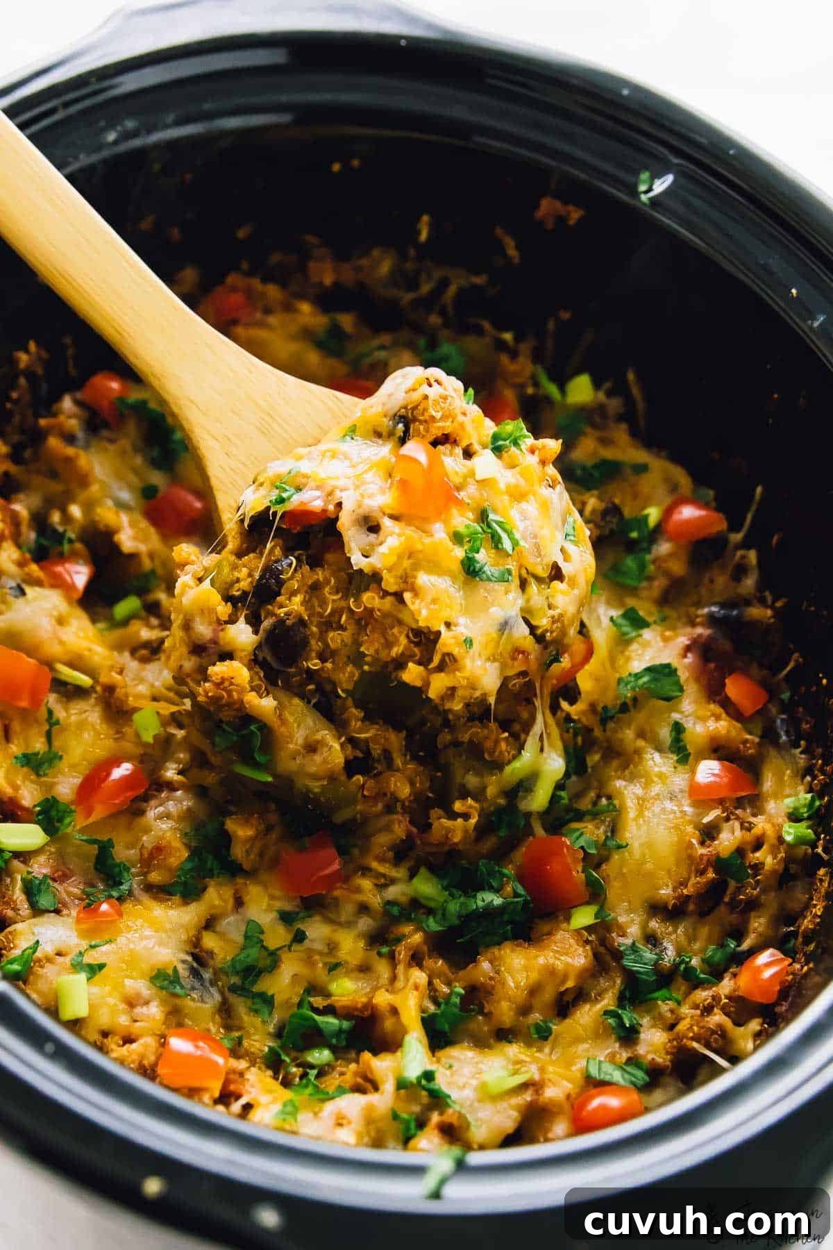 26. Vegan Enchilada Casserole