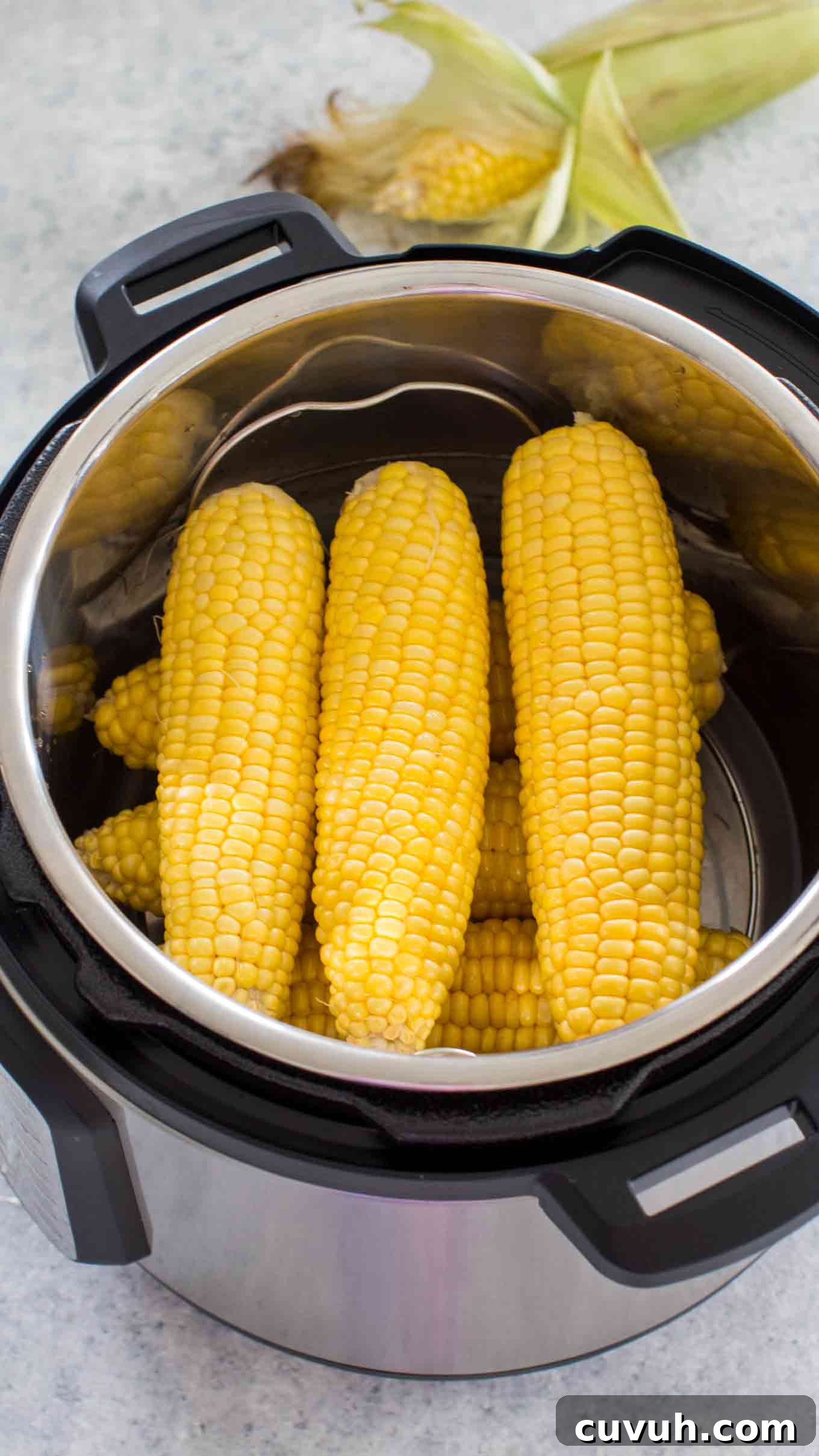Instant Pot Corn On The Cob Recipe