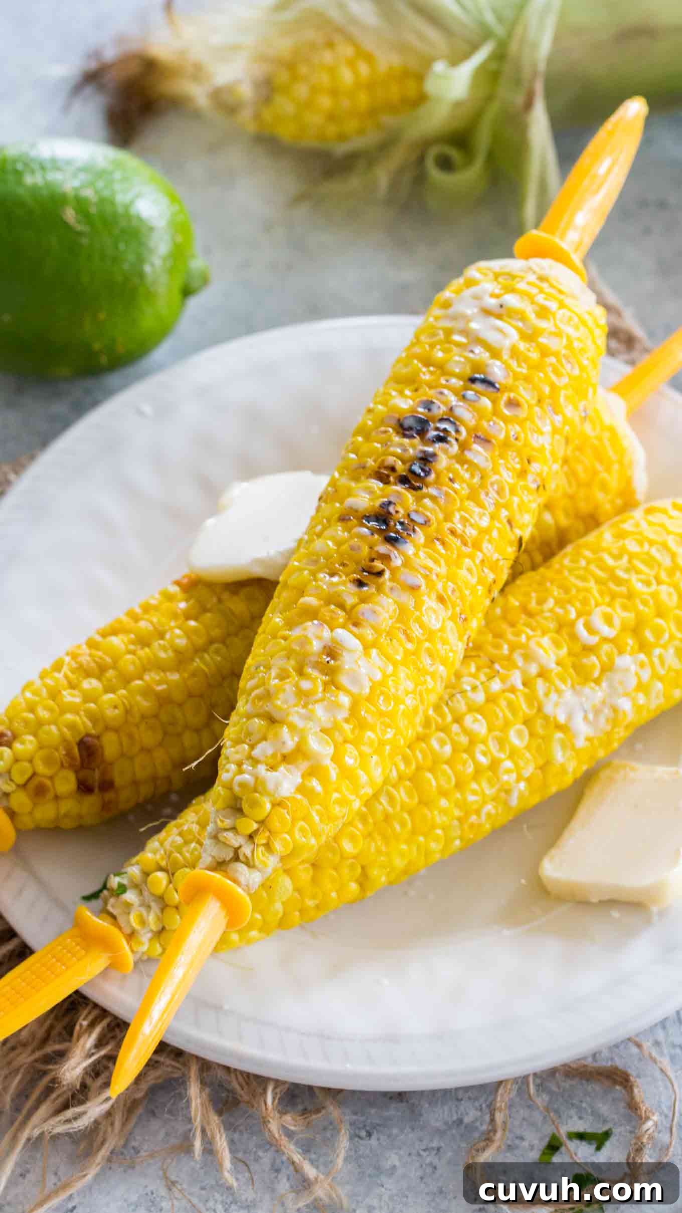 Instant Pot Corn On The Cob Recipe