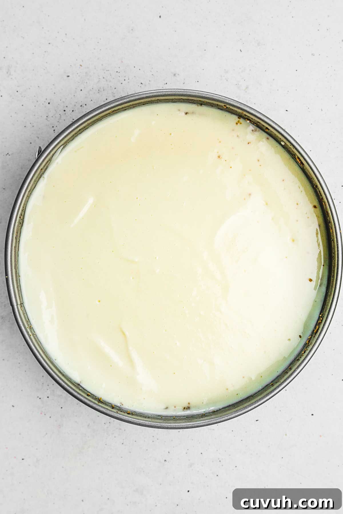 Classic New York Cheesecake Recipe: Creamy Oven-Baked Slice 5 Springform pan filled with cheesecake batter
