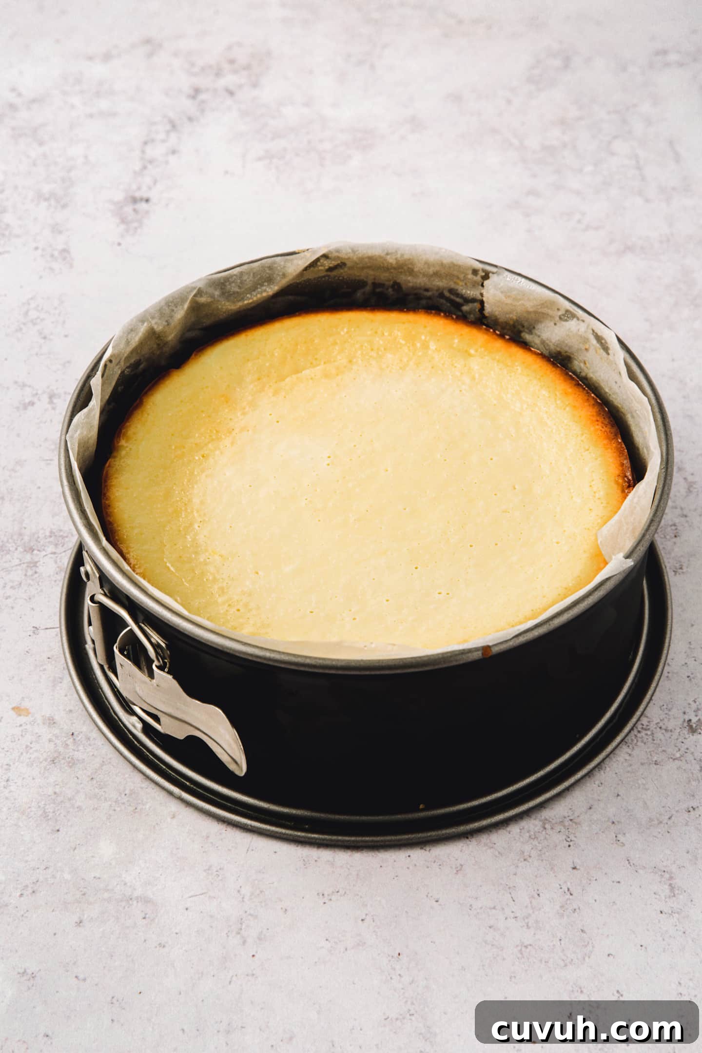 Classic New York Cheesecake Recipe: Creamy Oven-Baked Slice 6 Baked New York cheesecake cooling in a springform pan
