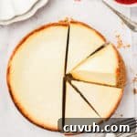 New york style cheesecake recipe