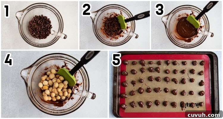overhead view of steps involved in making chocolate-covered macadamia nuts